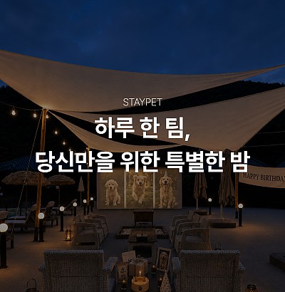하루 한 팀, 당신만을 위한 특별한 밤
